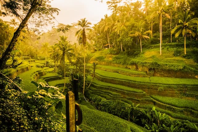 Ubud